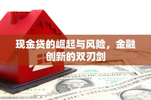 志丹现金贷的崛起与风险，金融创新的双刃剑
