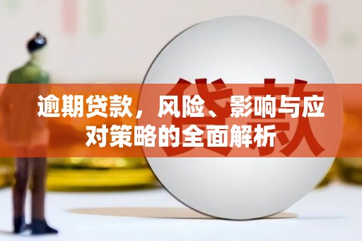 志丹逾期贷款，风险、影响与应对策略的全面解析