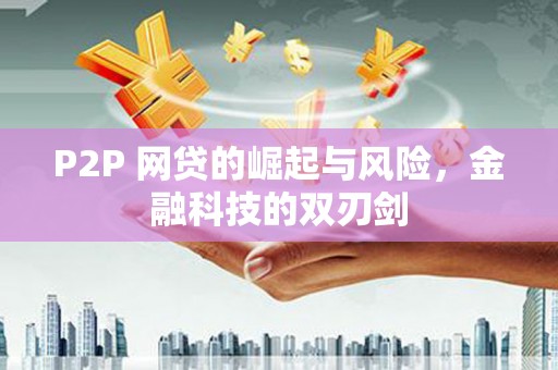 志丹P2P 网贷的崛起与风险，金融科技的双刃剑
