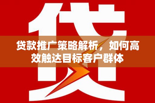 志丹贷款推广策略解析，如何高效触达目标客户群体