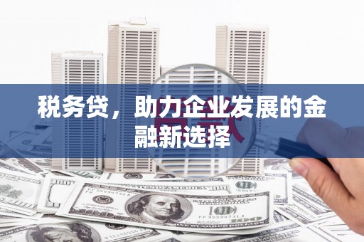 志丹税务贷，助力企业发展的金融新选择