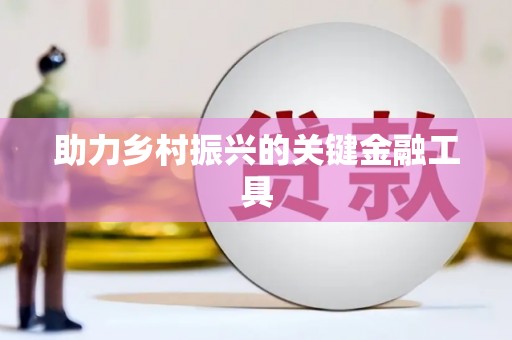 志丹助力乡村振兴的关键金融工具