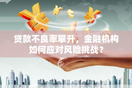 志丹贷款不良率攀升，金融机构如何应对风险挑战？