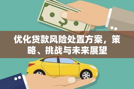 志丹优化贷款风险处置方案，策略、挑战与未来展望