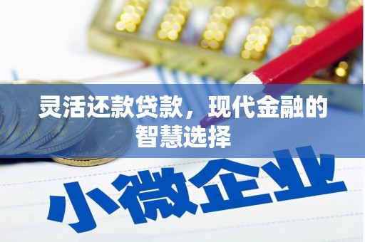 志丹灵活还款贷款，现代金融的智慧选择