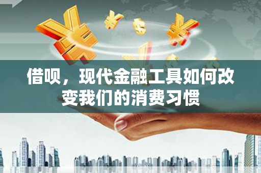 志丹借呗，现代金融工具如何改变我们的消费习惯