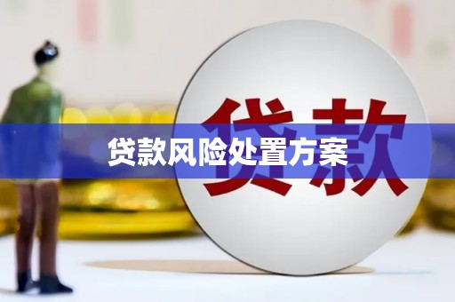 志丹贷款风险处置方案