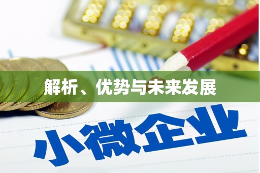 志丹解析、优势与未来发展