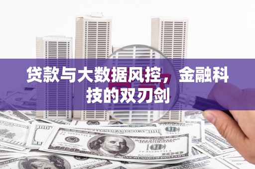 志丹贷款与大数据风控，金融科技的双刃剑