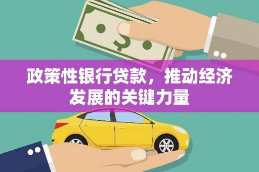 志丹政策性银行贷款，推动经济发展的关键力量