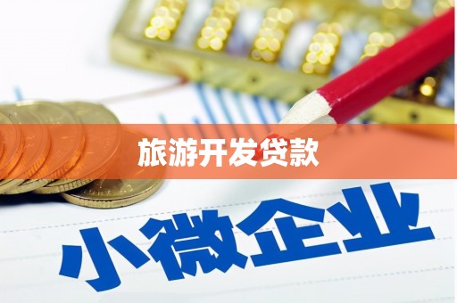 志丹旅游开发贷款