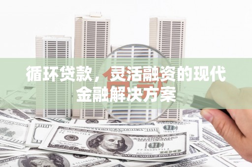 志丹循环贷款，灵活融资的现代金融解决方案