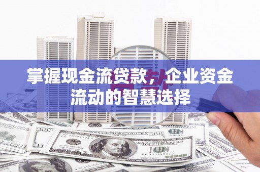 志丹掌握现金流贷款，企业资金流动的智慧选择