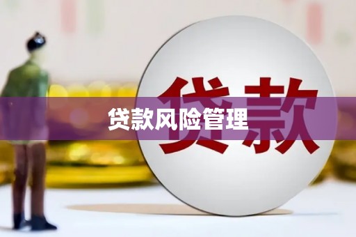 志丹贷款风险管理
