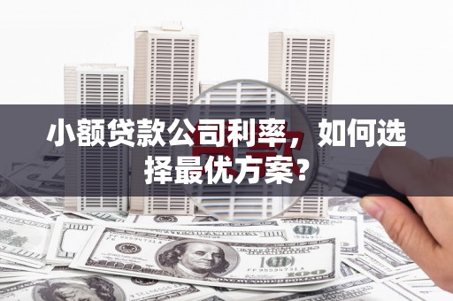 志丹小额贷款公司利率，如何选择最优方案？