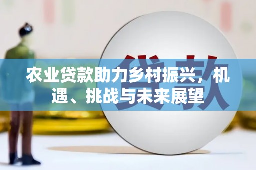 志丹农业贷款助力乡村振兴，机遇、挑战与未来展望