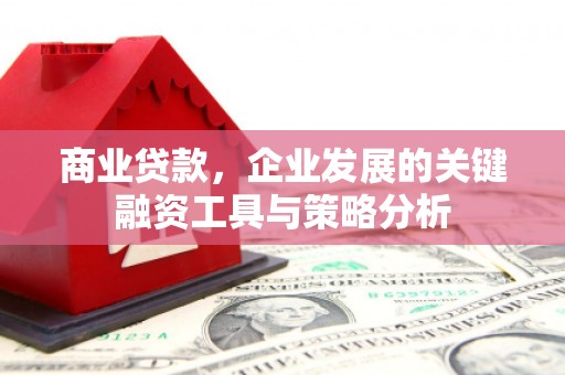 志丹商业贷款，企业发展的关键融资工具与策略分析