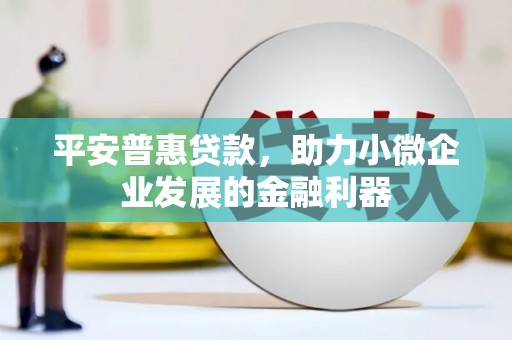 志丹平安普惠贷款，助力小微企业发展的金融利器