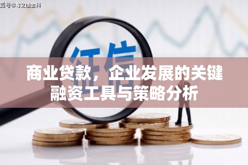 志丹商业贷款，企业发展的关键融资工具与策略分析