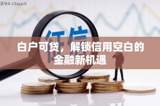 志丹白户可贷，解锁信用空白的金融新机遇