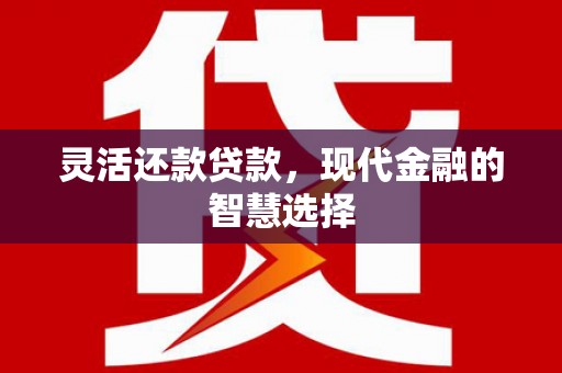 志丹灵活还款贷款，现代金融的智慧选择