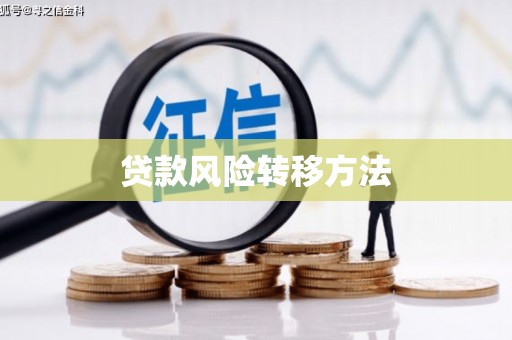 志丹贷款风险转移方法