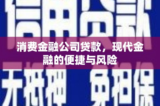 志丹消费金融公司贷款，现代金融的便捷与风险