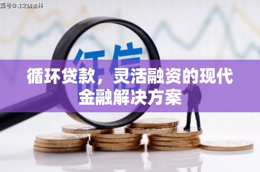 志丹循环贷款，灵活融资的现代金融解决方案