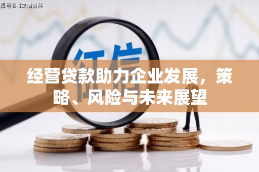 志丹经营贷款助力企业发展，策略、风险与未来展望