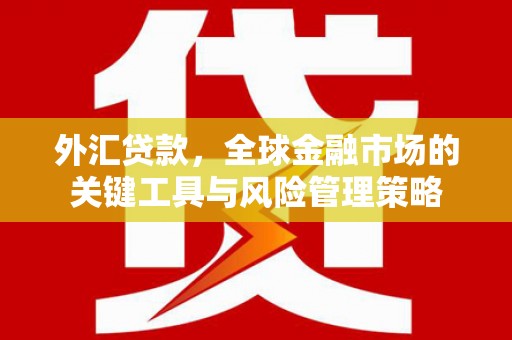 志丹外汇贷款，全球金融市场的关键工具与风险管理策略