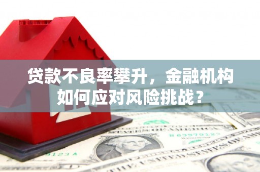 志丹贷款不良率攀升，金融机构如何应对风险挑战？