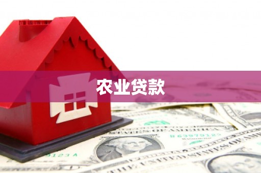 志丹农业贷款