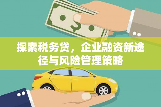 志丹探索税务贷，企业融资新途径与风险管理策略