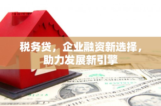 志丹税务贷，企业融资新选择，助力发展新引擎