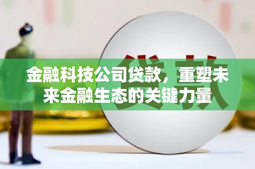 志丹金融科技公司贷款，重塑未来金融生态的关键力量