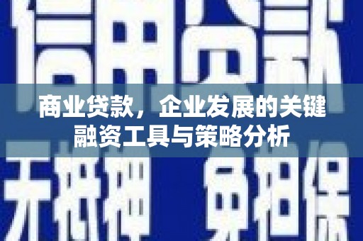 志丹商业贷款，企业发展的关键融资工具与策略分析