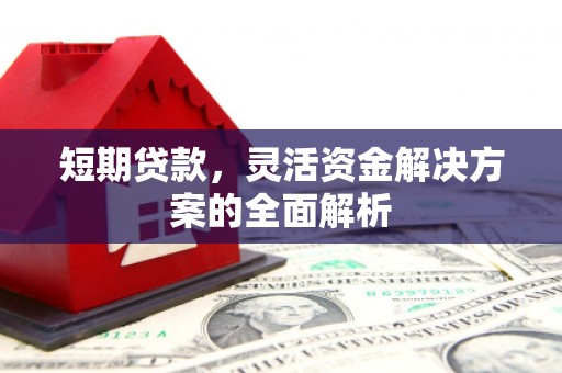 志丹短期贷款，灵活资金解决方案的全面解析