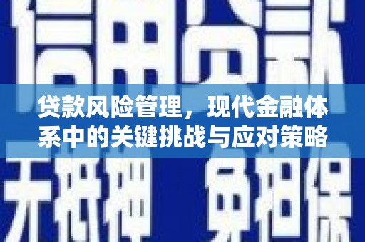 志丹贷款风险管理，现代金融体系中的关键挑战与应对策略