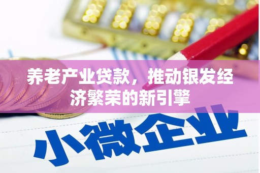 志丹养老产业贷款，推动银发经济繁荣的新引擎