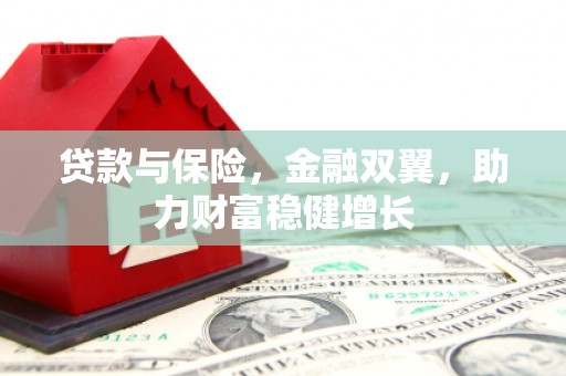 志丹贷款与保险，金融双翼，助力财富稳健增长