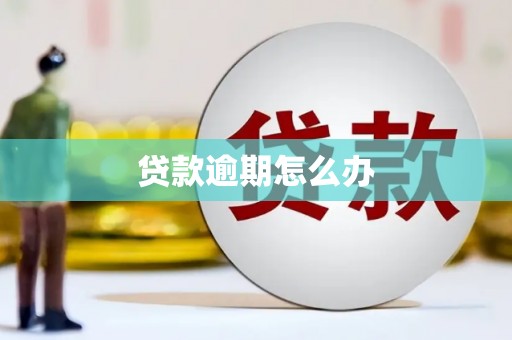 志丹贷款逾期怎么办