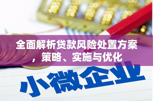 志丹全面解析贷款风险处置方案，策略、实施与优化