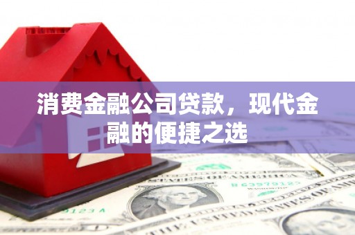 志丹消费金融公司贷款，现代金融的便捷之选