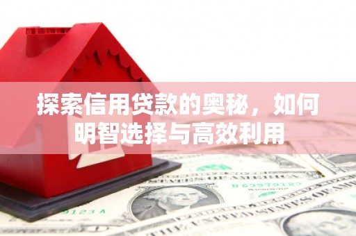 志丹探索信用贷款的奥秘，如何明智选择与高效利用