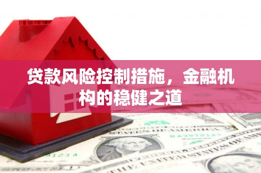 志丹贷款风险控制措施，金融机构的稳健之道