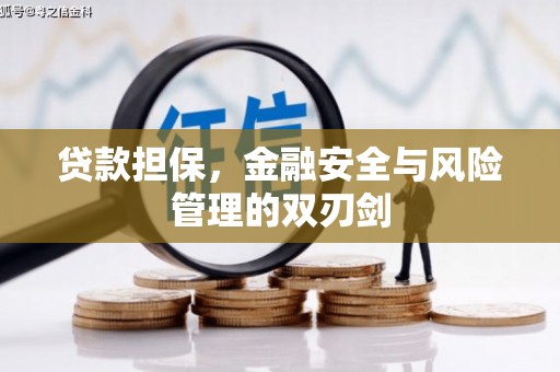 志丹贷款担保，金融安全与风险管理的双刃剑