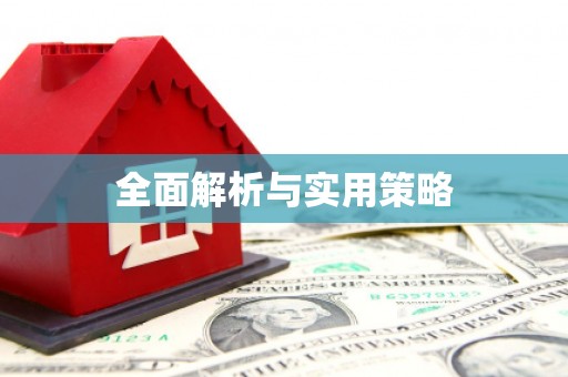志丹全面解析与实用策略