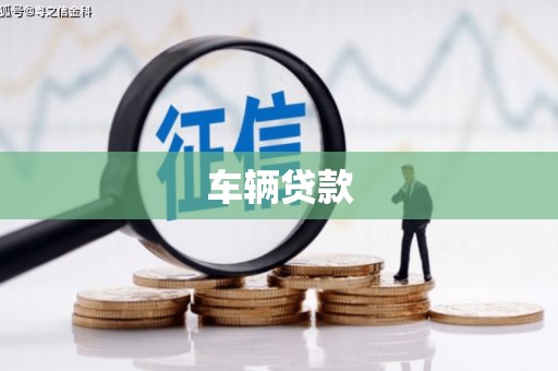志丹车辆贷款