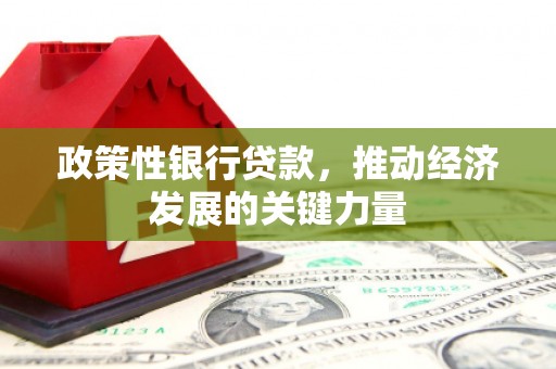 志丹政策性银行贷款，推动经济发展的关键力量