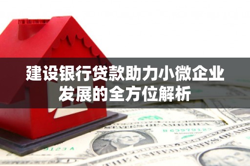 志丹建设银行贷款助力小微企业发展的全方位解析